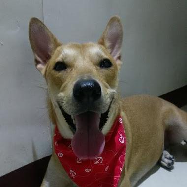 Github Nono1526 Vue Material Year Calendar A Full 12 Month View Calendar Made By Vue Js - Download Ultra HD Minimal Design | High Resolution