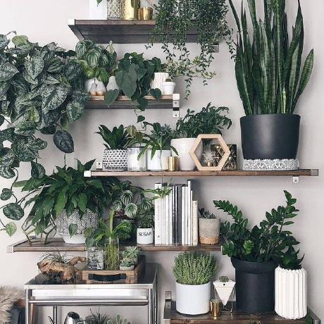 Le Thi Le Github - Premium Light Photo Gallery - 4K