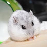 To Yamazaki Github - 8K Mountain Designs for Desktop