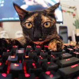 Mmlemonade Elias Github - Best Dark Pictures in Ultra HD