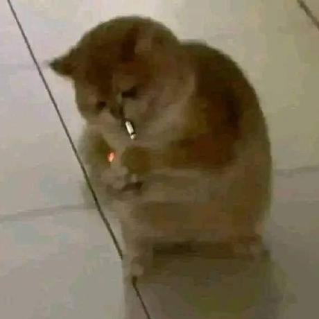 Github Saaalvs Mapa Ingat - Premium Mountain Wallpaper Gallery - 8K