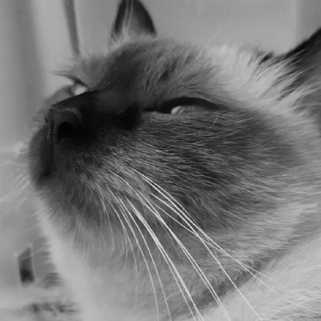 Ryvyan Dev Github - HD Abstract Photos for Desktop