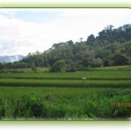 Jeffreyareyes Jeffrey Github - 8K Nature Wallpapers for Desktop