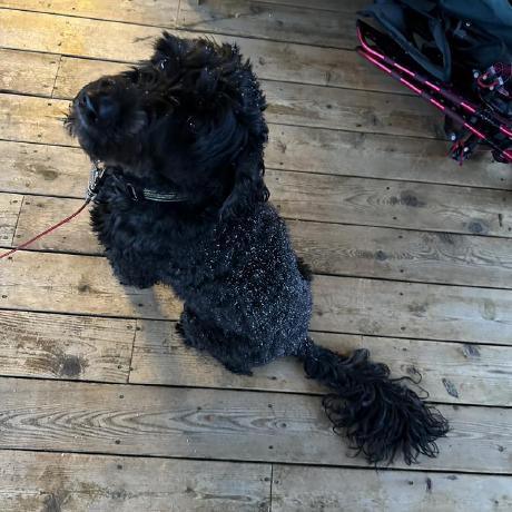 Sgsutcliffe Steven Sutcliffe Github - Abstract Texture Collection - Mobile Quality