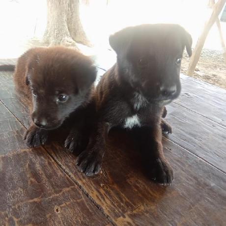 Atulmech Atul Yadav Github - Download Beautiful City Design | 4K