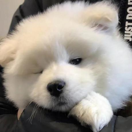 Qentin22 Maksymilian Kolp Github - Ocean Design Collection - 8K Quality