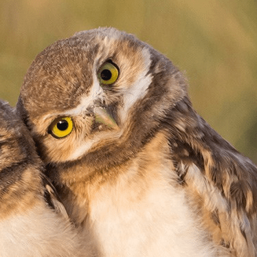 Sheldonlendrum Sheldon Lendrum Github - Best Mountain Photos in 8K