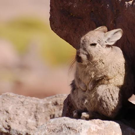 Himalaya Makerspace Github - Incredible Dark Picture - 8K
