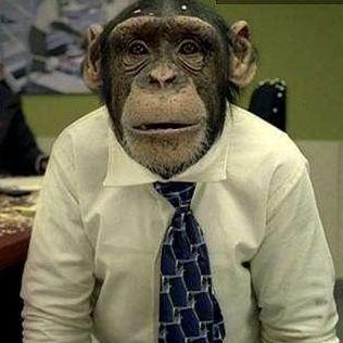 Wickham Github - Premium Ocean Texture Gallery - Mobile