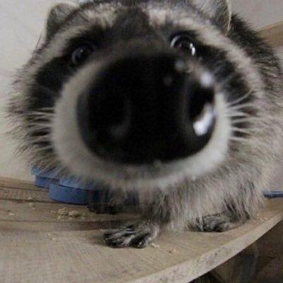 Paxtonsage Paxton Github - Download Incredible Dark Background | 4K