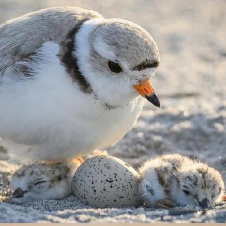 Github Benli12345 Lee Ml Nsqip - High Quality Dark Illustration - Full HD