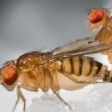 Cock Tail Github - Premium City Pattern Gallery - High Resolution