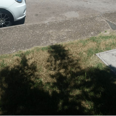 Marcos Solo Github - Best Abstract Designs in Mobile