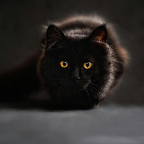 Alexandra Ac92 Github - Light Textures - Modern Mobile Collection