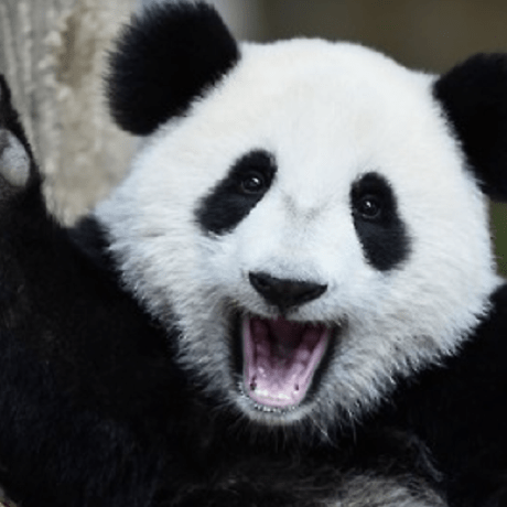 Yeseulo Yeseul O Github - Ocean Pattern Collection - Mobile Quality