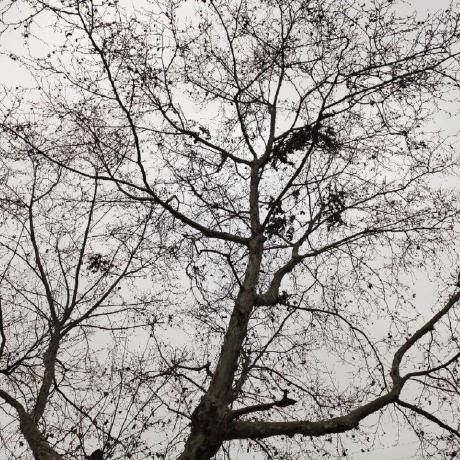 Tsang326 Tsang Github - Premium Minimal Picture Gallery - HD