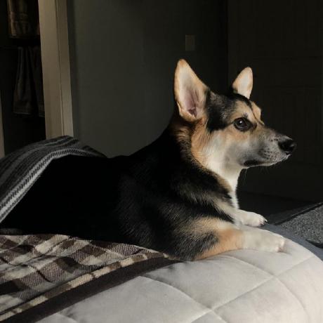 Collinkite Collin Github - Classic 4K Light Textures | Free Download