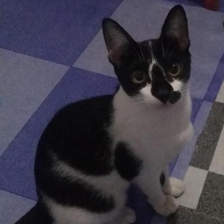 Github F Fathurrahman Ffr Qe Notes - High Resolution Gradient Pictures for Desktop