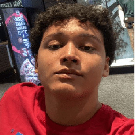 G0mes Dev Kauan Vasconcelos Gomes Github - Best Gradient Arts in 8K