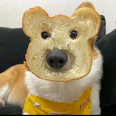 Miuna26 Yuyao Github - Mobile City Designs for Desktop