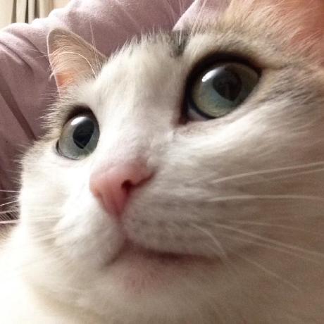 Github Kaokab33 Nn Project - Space Backgrounds - Ultra HD High Resolution Collection