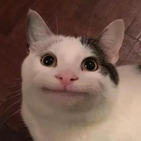 Shreyask Db Shreyas Github - Premium Light Design Gallery - Desktop