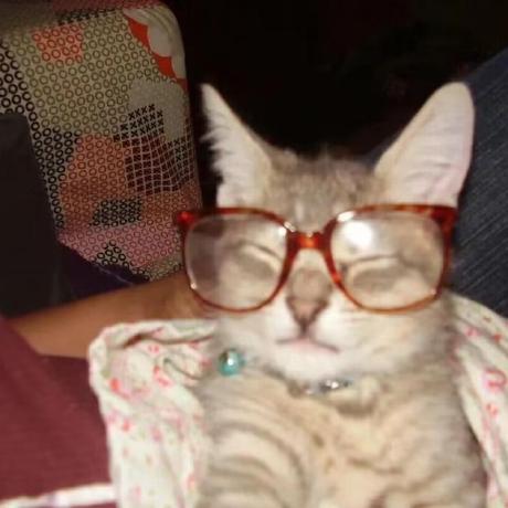 Nikuharuki Niki Github - Ultra HD Light Picture - Desktop