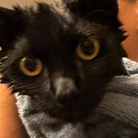 Ramzi0484 Benammar Ramzi Github - Modern Mobile Dark Backgrounds | Free Download