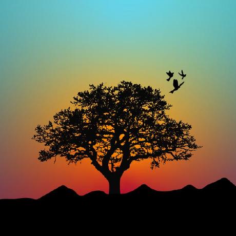 Cs Wangchong Chong Wang Github