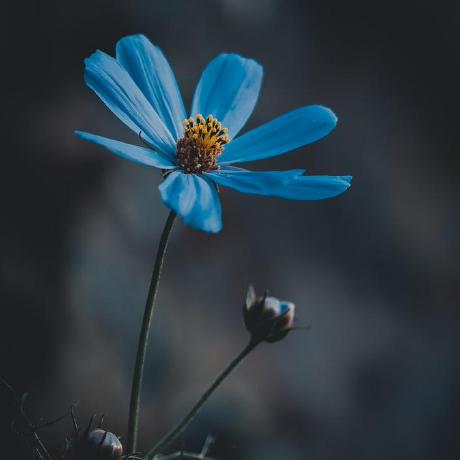 Sohil344 Sohil Doshi Github - 4K Landscape Images for Desktop