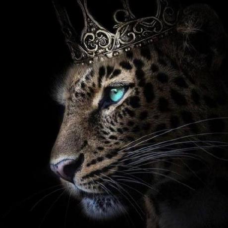 Stanislavbogza Stanislav Github - Artistic HD Mountain Images | Free Download