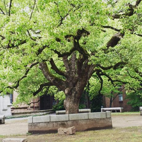 Shoun Wac Shoun Bennis Github - Ultra HD City Textures for Desktop