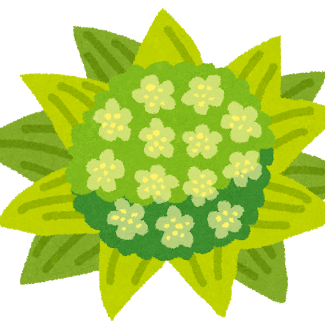 Fj Motoki Mariko Github - Perfect Mobile Light Photos | Free Download