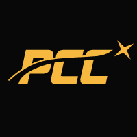 Github Emilyabm Class Project Pcc - Artistic Nature Pattern - HD