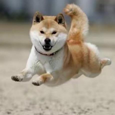 Github Xiekunwhy Vcf2tree Construct Nj Tree From Vcf File - Premium Colorful Illustration - High Resolution