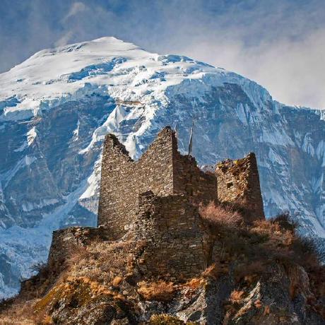 Github Glorycsc Nucleicacidtest Springboot Vue - Stunning 8K Colorful Illustrations | Free Download