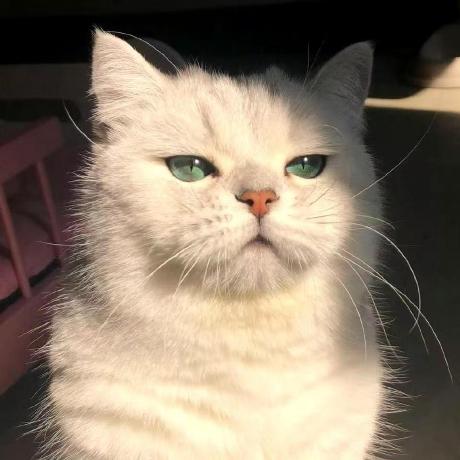 Yaozheng Happy Yaozheng Github - Perfect Ocean Background - HD