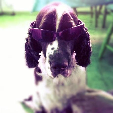 Espenalsvik Espen Alsvik Github - Download Amazing Gradient Wallpaper | Desktop