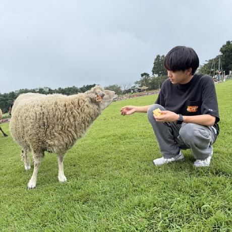 Yuto Takami Github - Best Abstract Designs in 4K