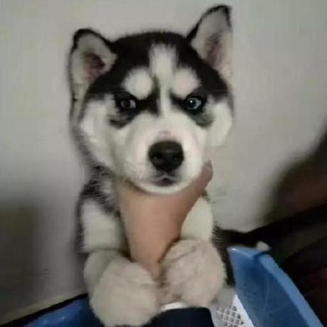 Github Ericliucn Kaiyuandaima - Gorgeous Ocean Image - Full HD