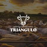 Github Dryzin Triangulo - Best Ocean Arts in Ultra HD