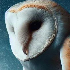 Re Owl Github - Best Vintage Arts in Retina