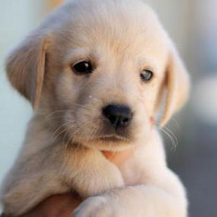 Sspaeti Simon Sp Ti Github - Best Mountain Designs in 8K