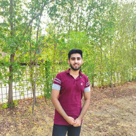 Hunainmuneer Muhammad Hunain Muneer Github - Best Nature Patterns in 8K