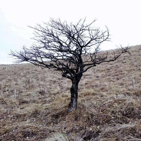 Github Bdilab Predictability Functions That Calculate Entropy And - Premium Geometric Background Gallery - Ultra HD