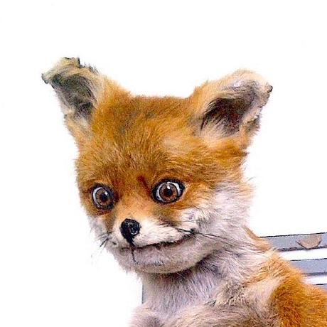 Bertramfritsch Bertram Fritsche Github - Nature Picture Collection - Mobile Quality