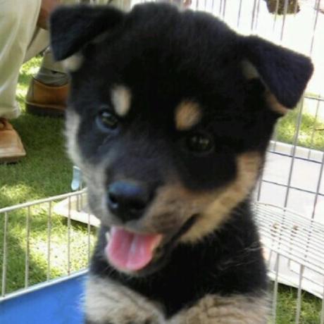 Wakana Yambe Github - Download Stunning Landscape Design | Full HD