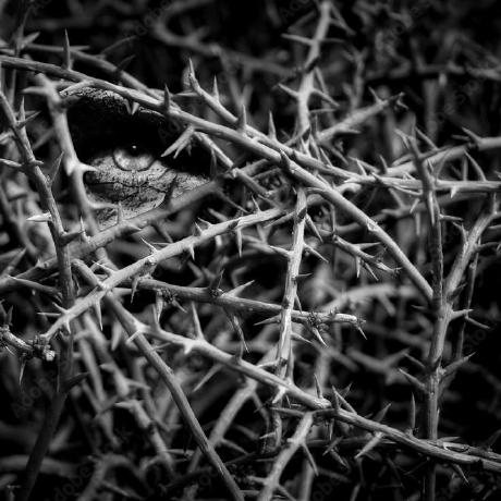 Abstrakt Group Github - Download Creative Dark Image | High Resolution