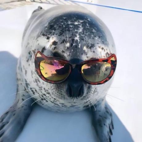 Irfanjmdn Irfan Github - Premium Ultra HD Space Arts | Free Download