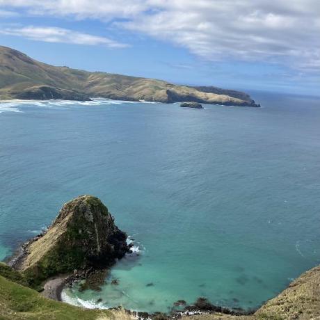 Shiota Github - High Quality Abstract Illustration - 8K